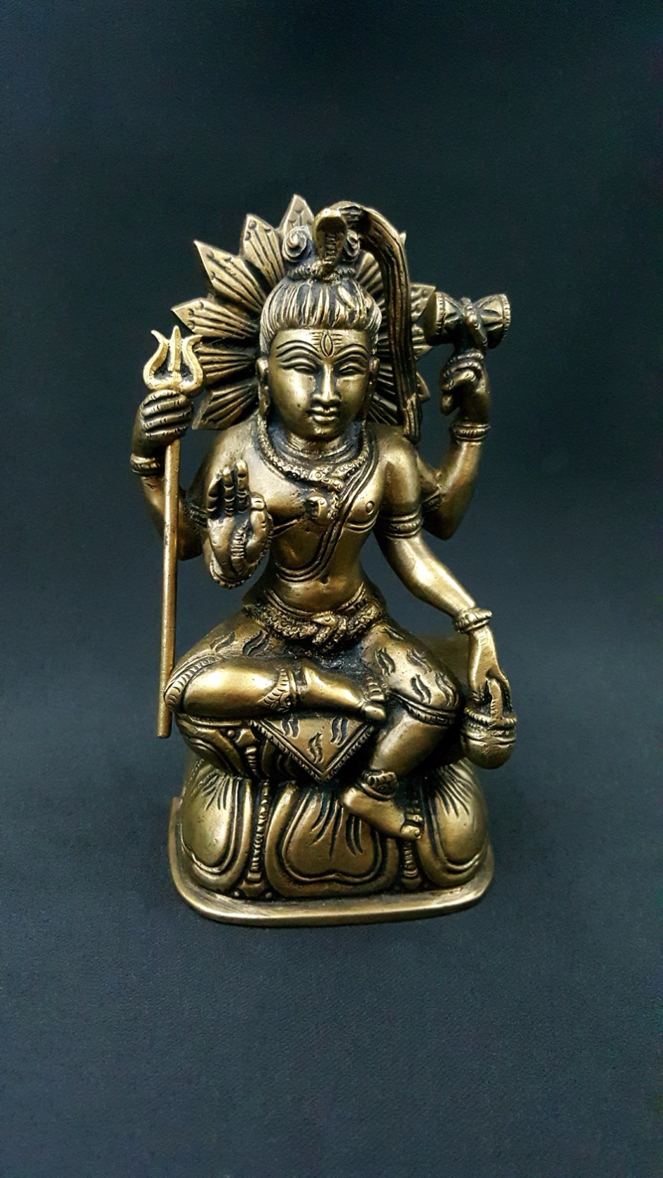 Statue Shiva le Yogi