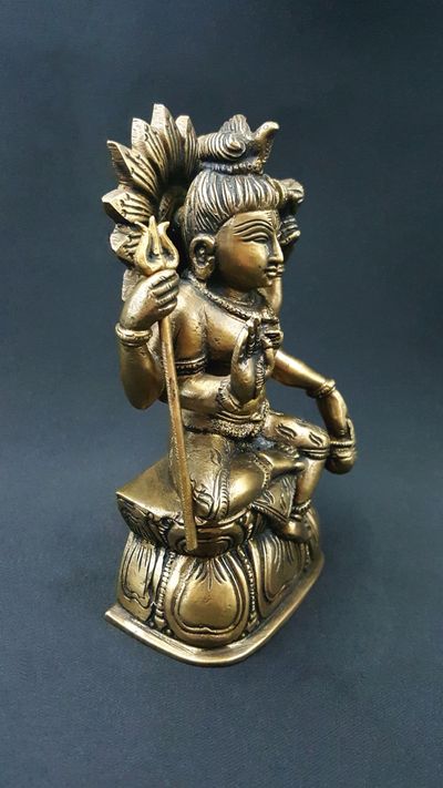 Statue Shiva le Yogi